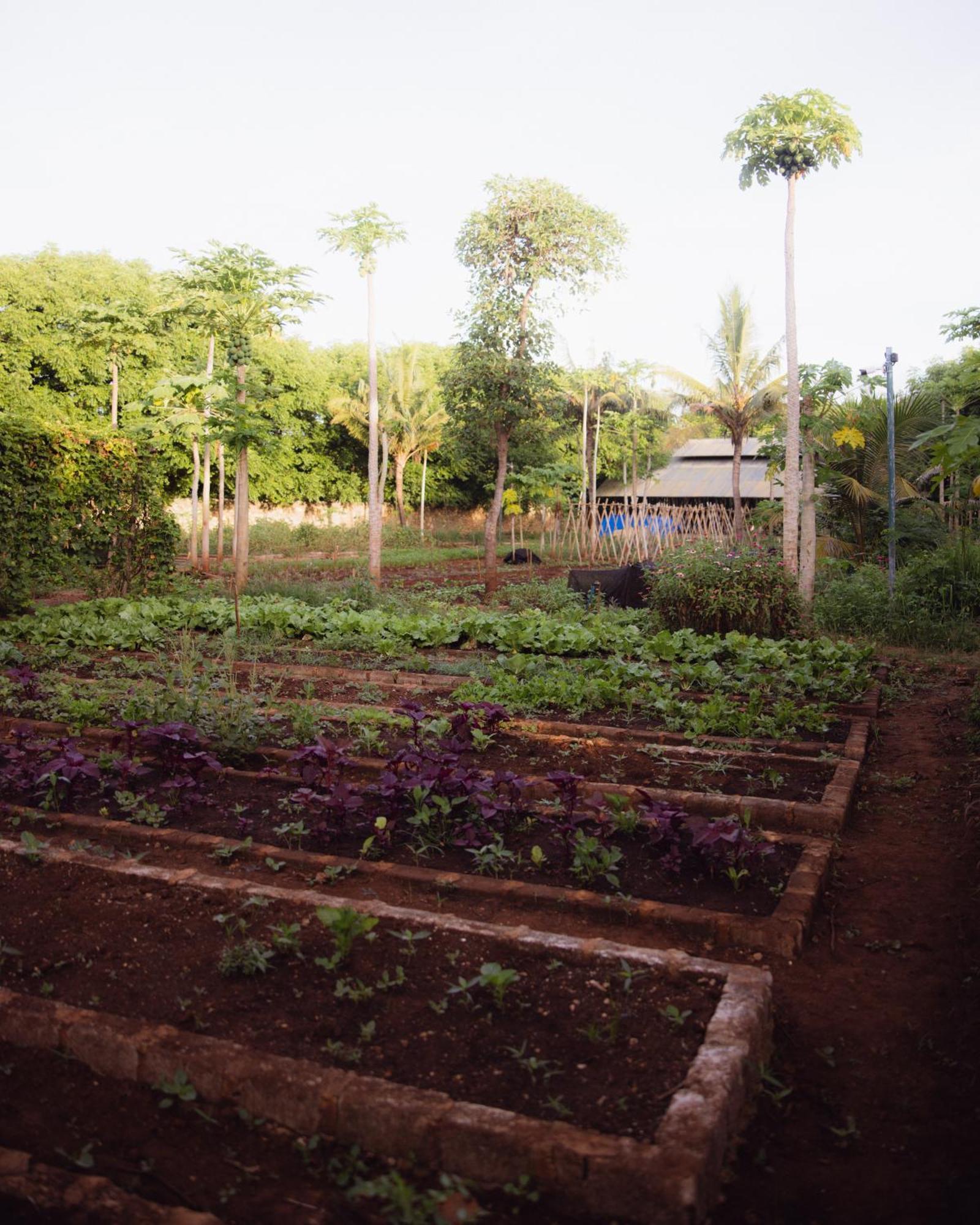 Maringi Sumba By The Sumba Hospitality Foundation Waikelo Ngoại thất bức ảnh